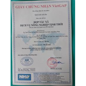 Giấy chứng nhận, bằng khen