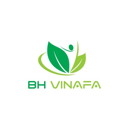 BH VINAFA